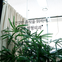 더강추정형외과의원